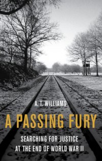 cover of the book A passing fury: searching for justice at the war's end