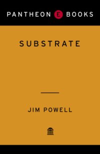 cover of the book Substrate