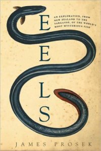 cover of the book Eels: An Exploration, From New Zealand to the Sargasso, of the World's Most Mysterious Fish