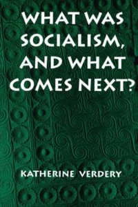 cover of the book What Was Socialism, and What Comes Next?