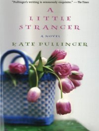 cover of the book A Little Stranger