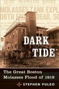 cover of the book Dark Tide: The Great Boston Molasses Flood of 1919