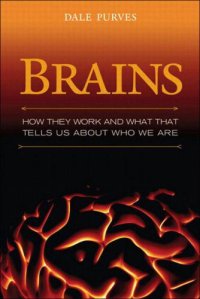 cover of the book Brains: How They Seem to Work