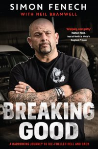 cover of the book Breaking Good