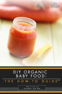 cover of the book DIY organic baby food: the how-to guide