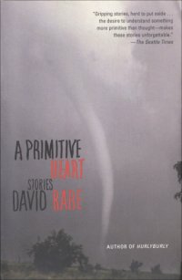 cover of the book A primitive heart: stories