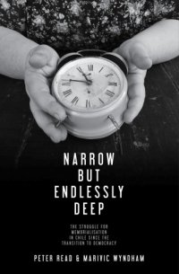 cover of the book Narrow but endlessly deep: the struggle for memorialisation in Chile since the transition to democracy