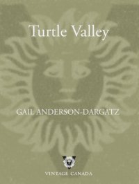 cover of the book Turtle Valley