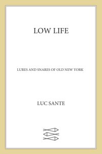 cover of the book Low life: lures and snares of old New York