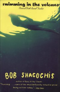 cover of the book Swimming in the Volcano