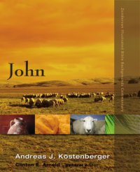 cover of the book John