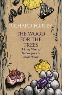 cover of the book The Wood for the Trees