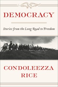 cover of the book Democracy