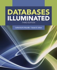 cover of the book Databases Illuminated