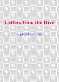 cover of the book Letters from the hive: an intimate history of bees, honey, and humankind