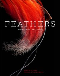 cover of the book Feathers: displays of brilliant plumage