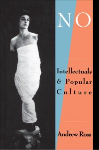 cover of the book No respect: intellectuals et popular culture