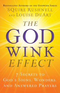 cover of the book The Godwink Effect