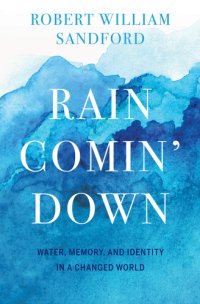 cover of the book Rain Comin' Down