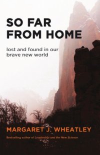 cover of the book So far from home: lost and found in our brave new world