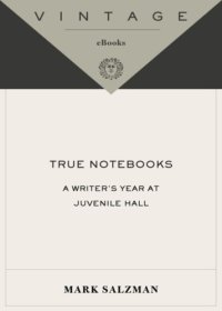 cover of the book True notebooks: a writer's year at juvenile hall