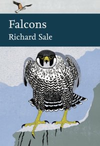 cover of the book Falcons