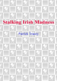 cover of the book Stalking Irish madness: searching for the roots of my family's schizophrenia