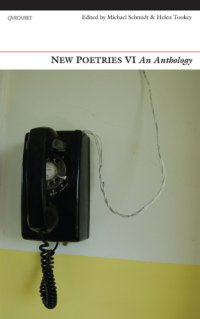 cover of the book New poetries VI an anthology