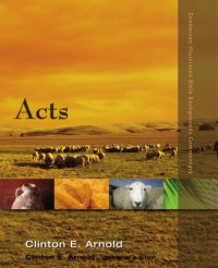 cover of the book Acts: Zondervan Exegetical commentary on the New Testament