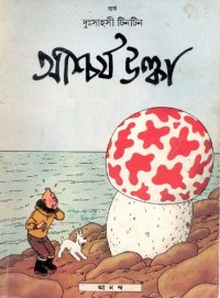 cover of the book আশ্চর্য উল্কা (The Shooting Star)