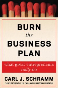 cover of the book Burn the business plan what great entrepreneurs really do