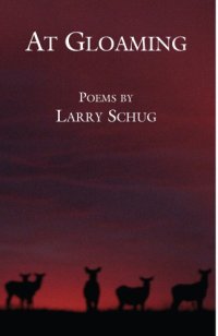 cover of the book At gloaming: poems