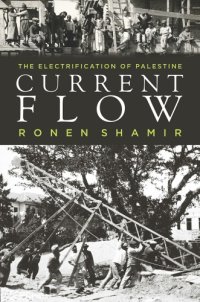 cover of the book Current flow: the electrification of Palestine