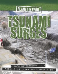 cover of the book Tsunami surges