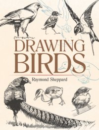 cover of the book Drawing Birds