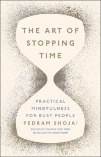 cover of the book The Art of Stopping Time