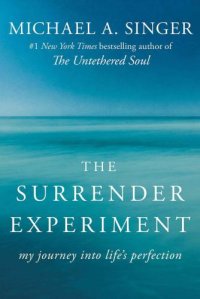 cover of the book The Surrender Experiment: My Journey into Life's Perfection