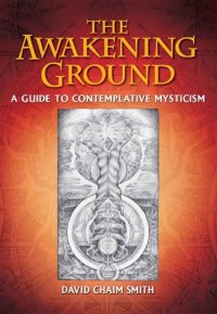 cover of the book The awakening ground: a guide to contemplative mysticism