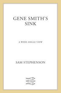 cover of the book Gene Smith's sink: a wide-angle view