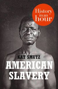 cover of the book American Slavery in an Hour