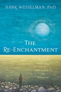 cover of the book The re-enchantment: a Shamanic path to a life of wonder