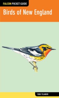 cover of the book Birds of New England