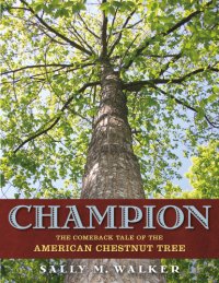 cover of the book Champion: the comeback tale of the American chestnut tree