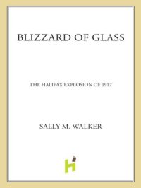 cover of the book Blizzard of glass: the Halifax explosion of 1917