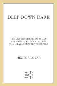 cover of the book Deep Down Dark: The Untold Stories of 33 Men Buried in a Chilean Mine, and the Miracle That Set Them Free