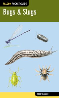 cover of the book Bugs & Slugs