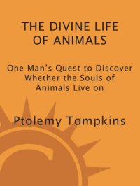 cover of the book The Divine Life of Animals: One Mans Quest to Discover Whether the Souls of Animals Live on