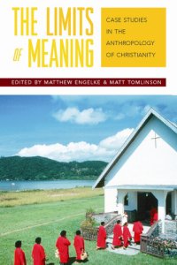 cover of the book The limits of meaning: case studies in the anthropology of Christianity