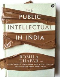 cover of the book The Public Intellectual in India