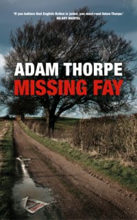 cover of the book Missing Fay